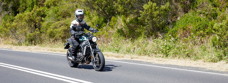 Rider next to bush