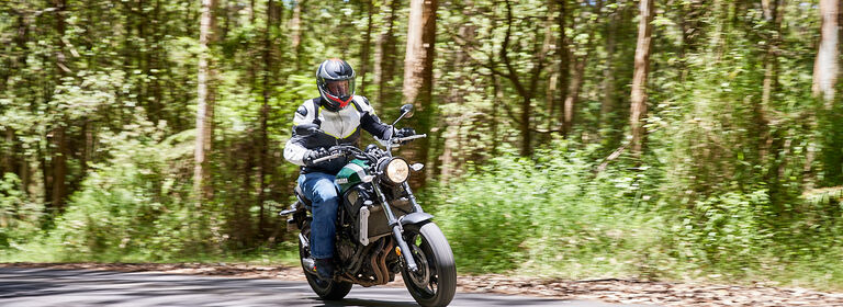rider in the bush